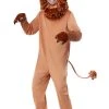 Lovable Lion Costume For Adults