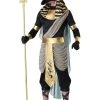 Anubis Costume For Adults