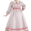 Exclusive Women's Civil War Plus Size Dress Costume