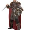 Mens Viking Warrior Costume