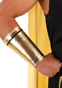 Plus Size King Of Egypt Adult Costume -FunCostumes shop plus size king of egypt costume alt 7