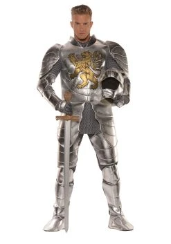 Plus Size Mens's Knight In Shining Armor Costume