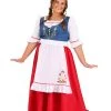 Plus Size Garden Gnome Costume For Women