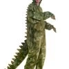 T-Rex Dinosaur Costume For Adults